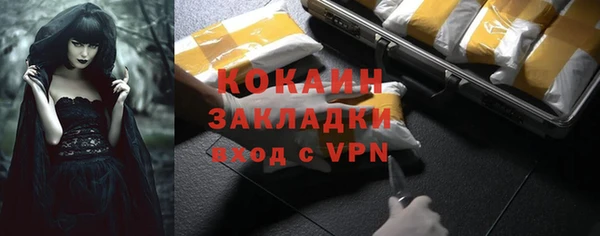 стаф Аркадак
