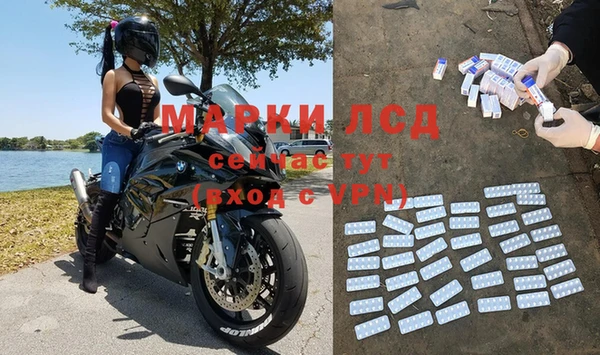 стаф Аркадак