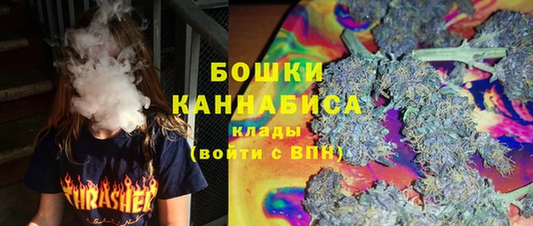 стаф Аркадак