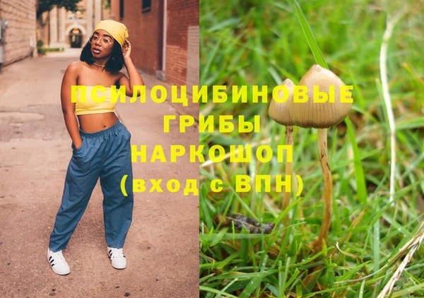 стаф Аркадак
