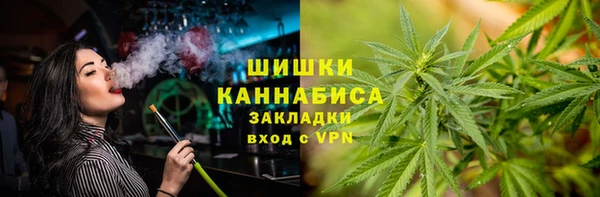 прущие грибы Баксан