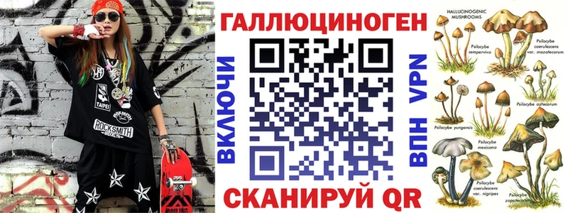 Галлюциногенные грибы Psilocybine cubensis  купить   Менделеевск 